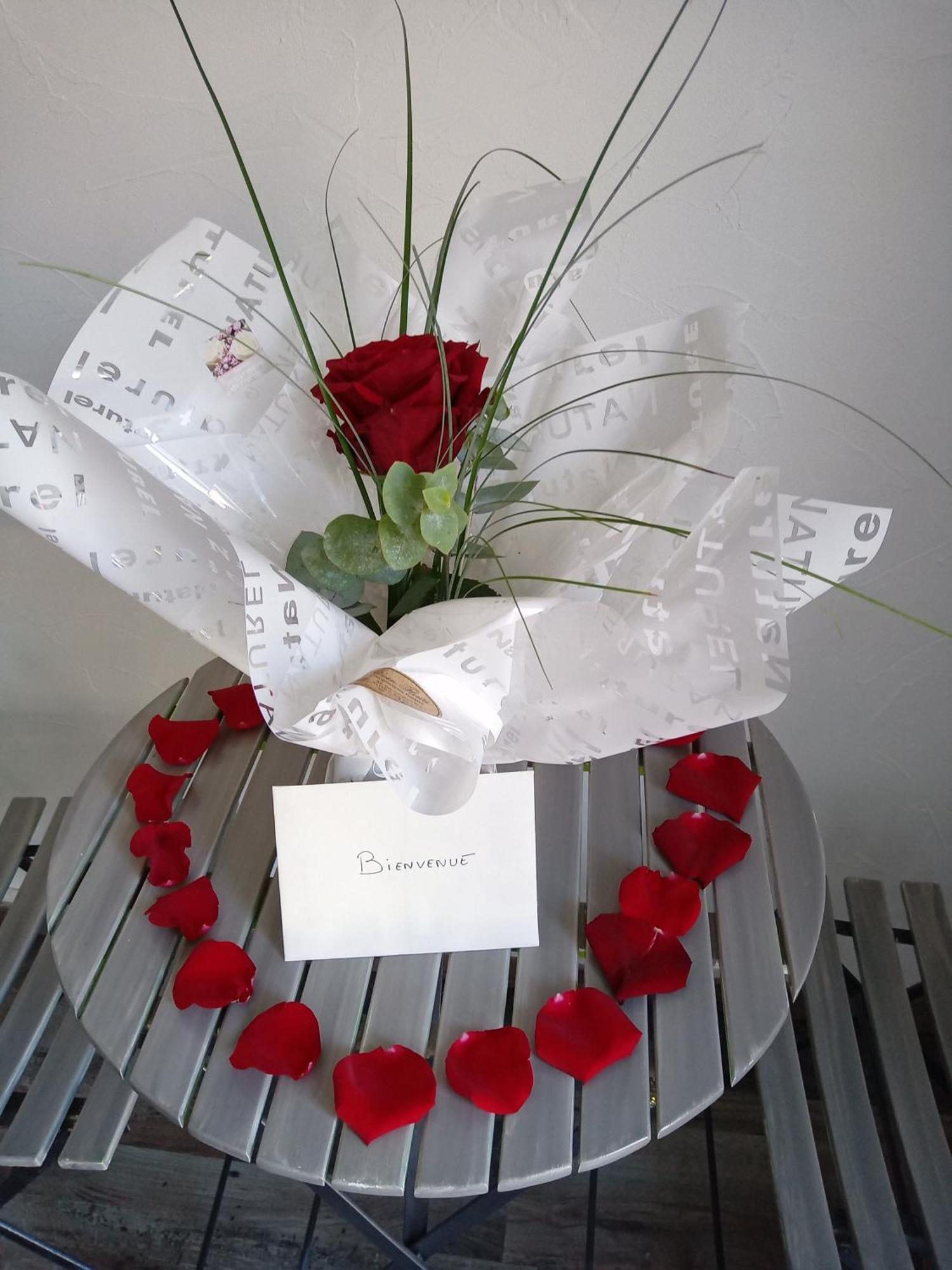 Studio Les Coquelicots Saint-Romain-sur-Cher Zewnętrze zdjęcie