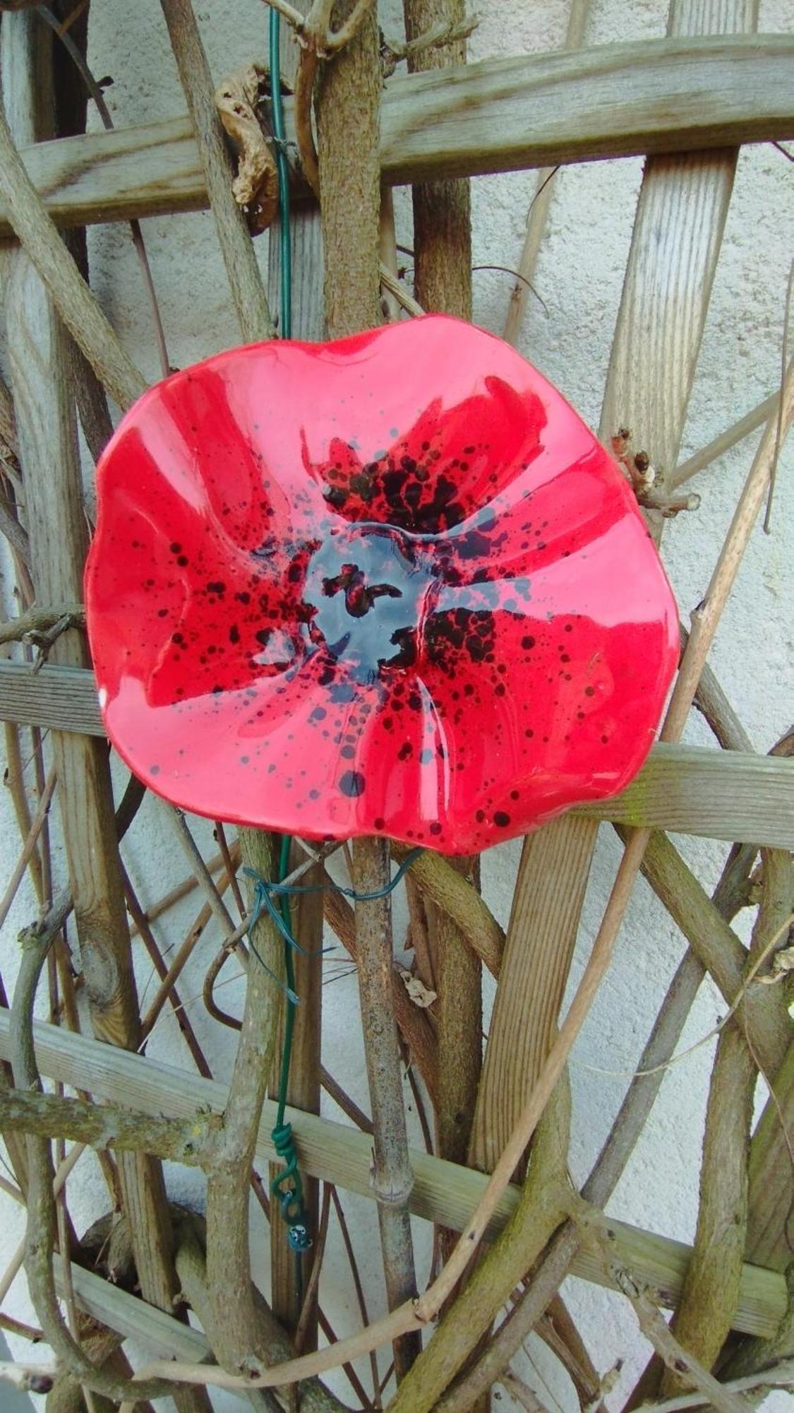 Studio Les Coquelicots Saint-Romain-sur-Cher Zewnętrze zdjęcie